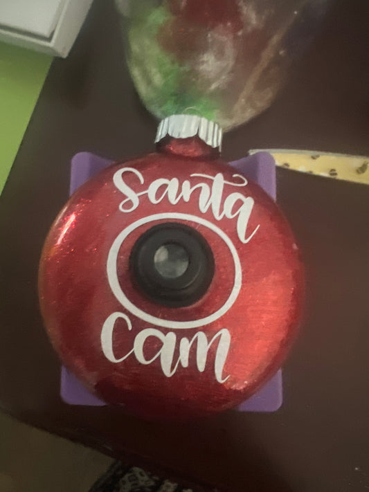 santa cam ornaments