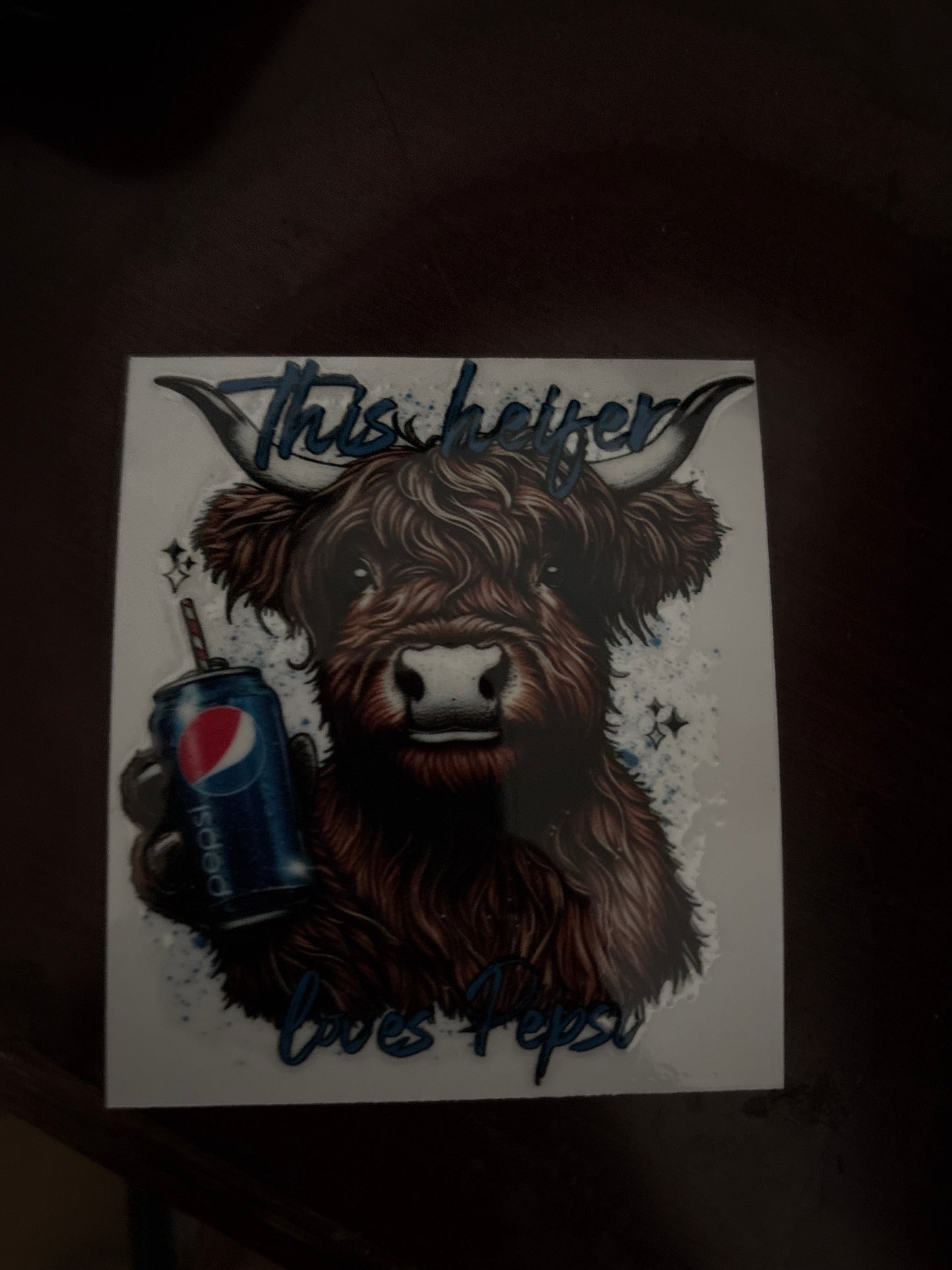 Highland cow Pepsi