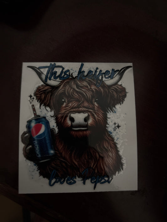 Highland cow Pepsi